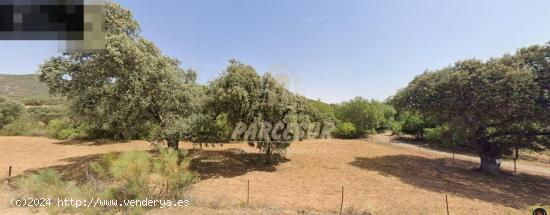 ZONA BELMEZ- Se vende finca agrícola de 39.000 m en total. - CORDOBA