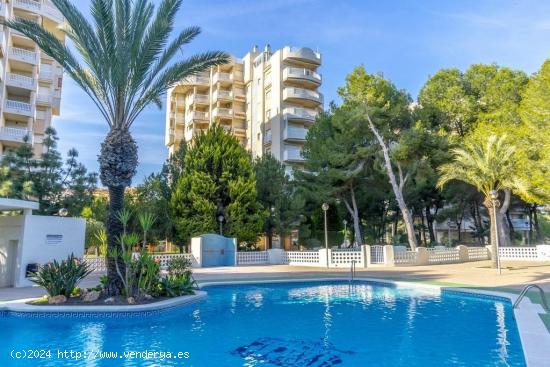 Apartamento en Campoamor 400m de la playa - ALICANTE