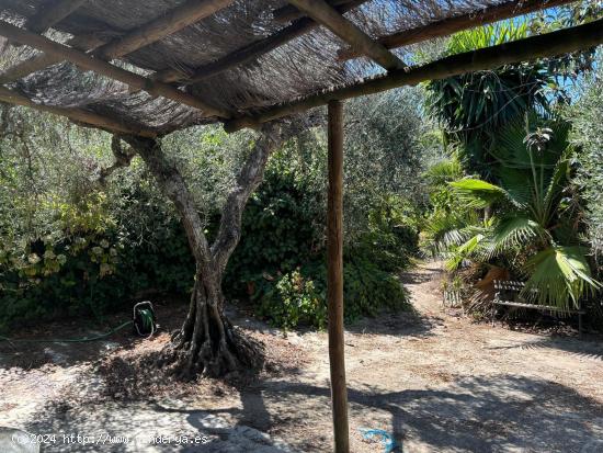 Preciosa parcela con casa en plena sierra de Montánchez - CACERES