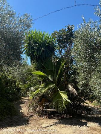 Preciosa parcela con casa en plena sierra de Montánchez - CACERES