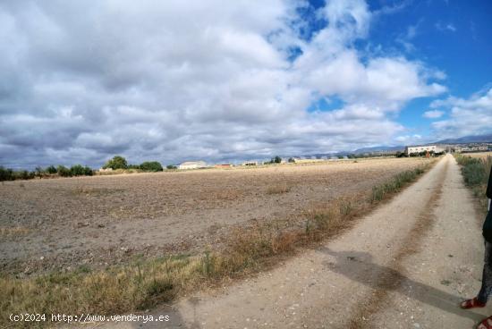 PARCELA DE REGADIO EN MATON DE LOS IÑIGOS - CACERES