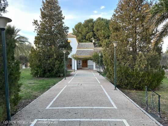 MAGNÍFICO CHALET CON JARDINES - MURCIA