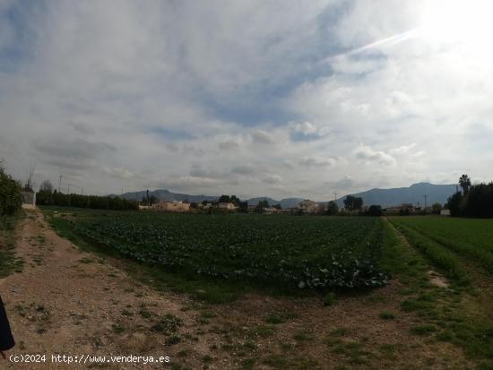 PARCELA URBANA EN LOS DOLORES (MURCIA) - MURCIA