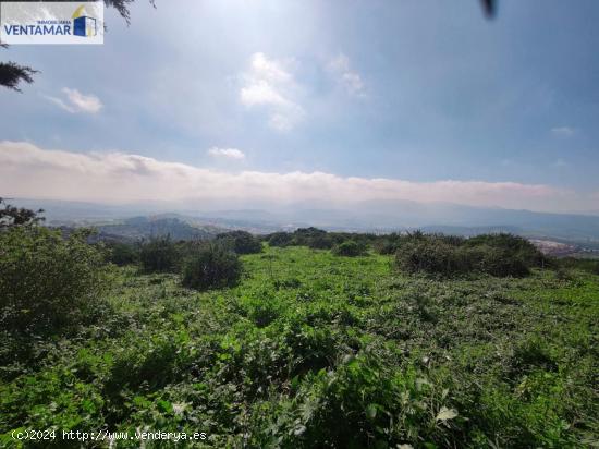 GRAN PARCELA RUSTICA EN CERRO MARCELO, LOS BARRIOS (CÁDIZ) - CADIZ