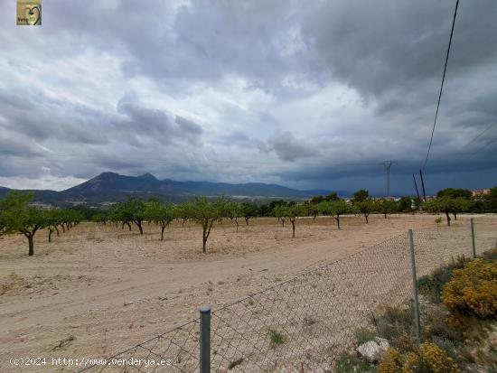 TERRENO RUSTICO EN TIBI (ALICANTE) - ALICANTE