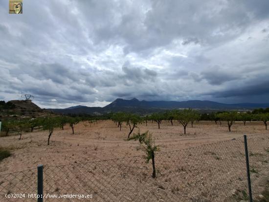 TERRENO RUSTICO EN TIBI (ALICANTE) - ALICANTE