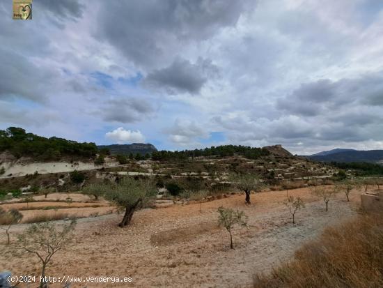 TERRENO RUSTICO EN TIBI (ALICANTE) - ALICANTE