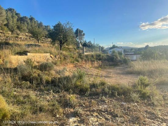  Parcela rústica en Llombai situado en la zona Atalaya - VALENCIA 