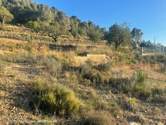 Parcela rústica en Llombai situado en la zona Atalaya - VALENCIA