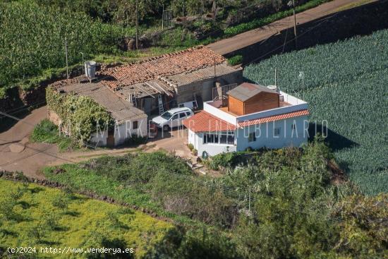 Se Vende en Moya - LAS PALMAS