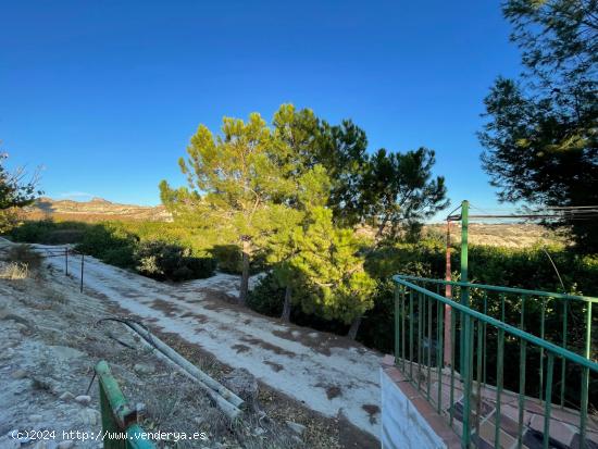 Casa con gran terreno en El Fenazar - MURCIA