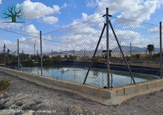 CASA DE CAMPO EN LEIVA - MURCIA