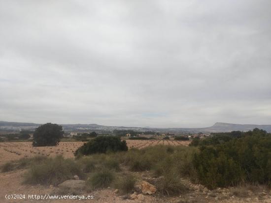 PARCELA DE 26.000 M2 EN ZONA SUGEL - ALBACETE