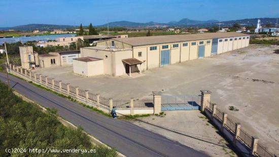  NAVE INDUSTRIAL EN MANACOR - BALEARES 