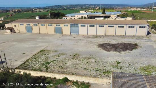 NAVE INDUSTRIAL EN MANACOR - BALEARES