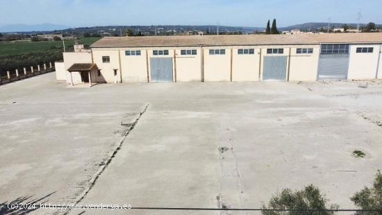 NAVE INDUSTRIAL EN MANACOR - BALEARES