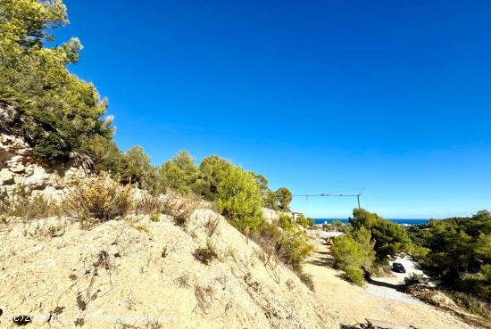 Exclusiva parcela en Tosalet V con vistas panoramicas al mar - ALICANTE