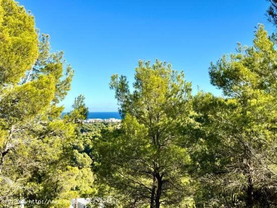 Exclusiva parcela en Tosalet V con vistas panoramicas al mar - ALICANTE