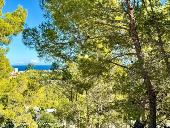 Exclusiva parcela en Tosalet V con vistas panoramicas al mar - ALICANTE