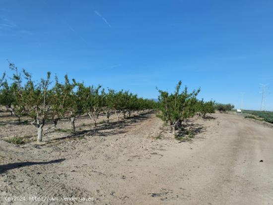 Terreno Agrario - Lébor, Totana - MURCIA