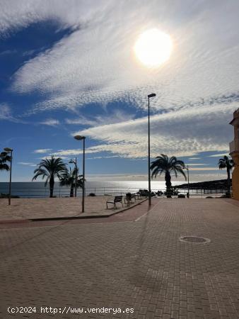 Vacaciones en la Playa!! - MURCIA