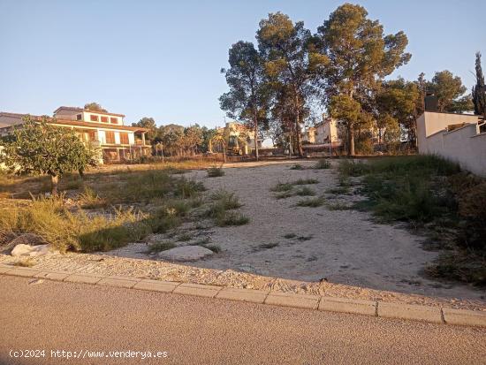  PARCELA DE 400 M2 EN SALINETAS ( Suelo urbano) - ALICANTE 