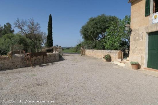 Finca Rústica en Ariany - BALEARES