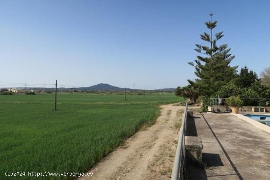 Finca Rústica en Ariany - BALEARES