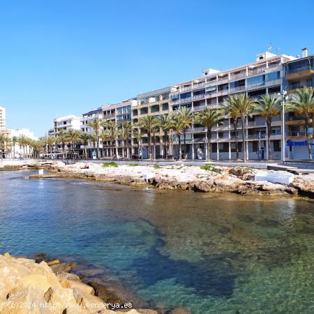  Apartamento céntrico cerca de la Playa del Cura - ALICANTE 