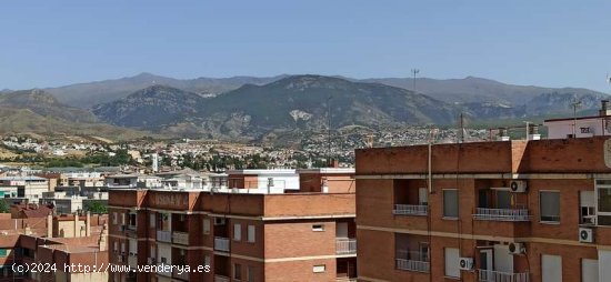 SOLO PARA TRABAJADORES - Granada