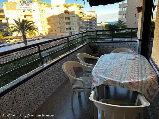 Alquiler de Septiembre a Junio en Los Arenales del Sol - ALICANTE