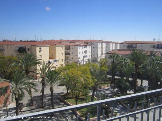 ALQUILER PISO CON ASCENSOR EN SAN ANTÓN, ELCHE - ALICANTE