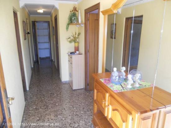 APARTAMENTO EN EL CAMPO CON PISCINA EN ALQUILER EN BENISSA - ALICANTE