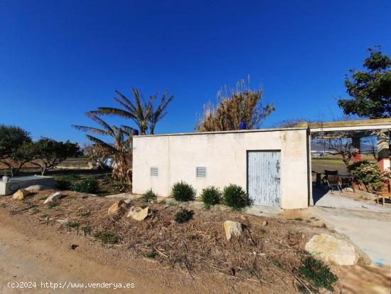  Finca Rústica cerca de la población. - TARRAGONA 