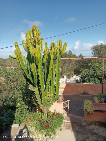 Casa de pueblo en El Tanque de 200 m² - SANTA CRUZ DE TENERIFE