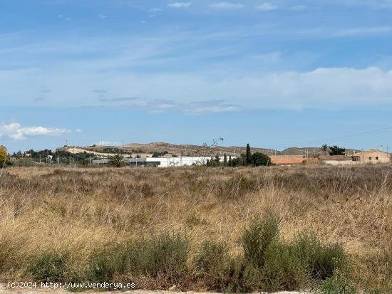 SUELO URBANO - PRÓXIMA URBANIZACIÓN cerca IFA - ALICANTE