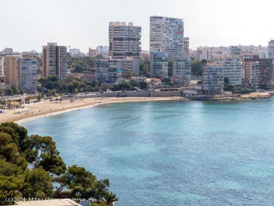 Primera Línea de Playa Alquila tu Hogar en el Edificio Vistamar, Playa de la Albufereta, Alicante -