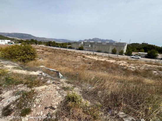 TERRENO URBANO PROMOCIÓN VIVIENDAS UNIFAMILIARES - ALICANTE