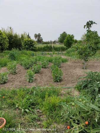 OPORTUNIDAD FINCA EN LA BARCA DE LA FLORIDA - CADIZ