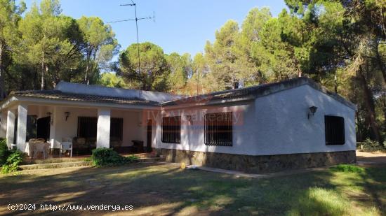 PARCELA CON CASA Y PISCINA EN URB. LOS PINARES DEL JUCAR - ALBACETE