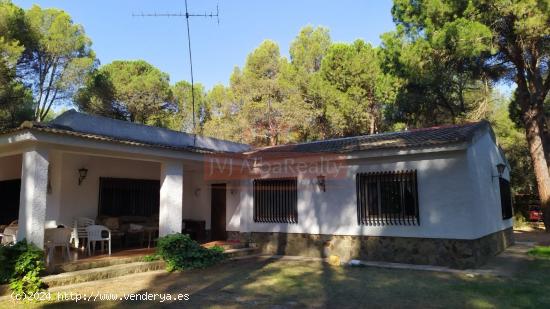 PARCELA CON CASA Y PISCINA EN URB. LOS PINARES DEL JUCAR - ALBACETE