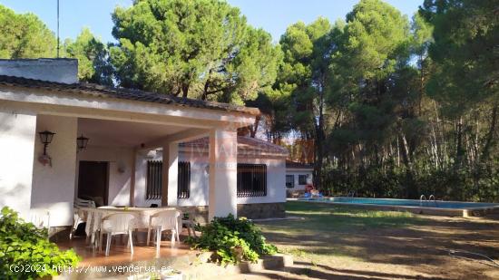 PARCELA CON CASA Y PISCINA EN URB. LOS PINARES DEL JUCAR - ALBACETE