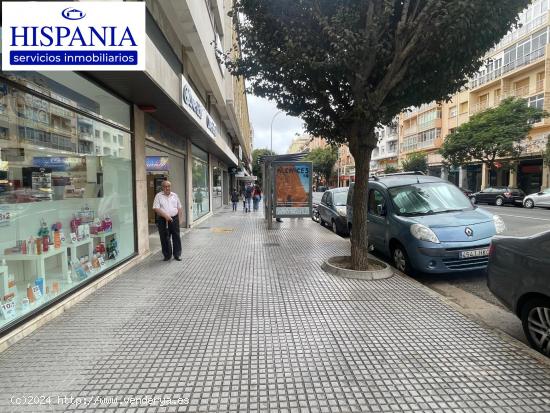 Se alquila magnifico local en plena Avenida principal de Cádiz - CADIZ