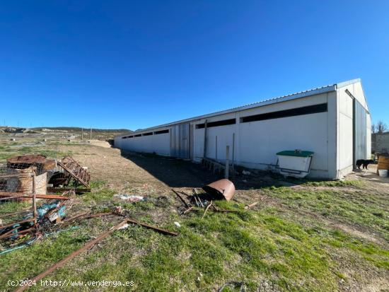  NAVE GANADERA/AGRÍCOLA EN PRIEGO (CUENCA) - CUENCA 