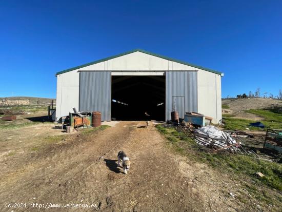 NAVE GANADERA/AGRÍCOLA EN PRIEGO (CUENCA) - CUENCA