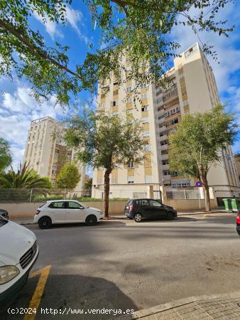 VIVIENDA EN EL COLL DÉN RABASSA - BALEARES