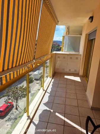 Alquiler de apartamento en casco urbano con piscina y jardín comunitarios. - ALICANTE