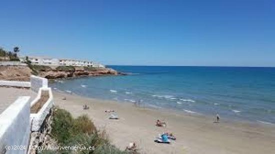  Terreno urbano para construir 52 viviendas - ALICANTE 