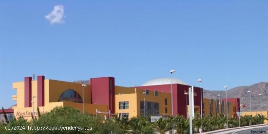 117-room hotel 300 meters from the sea! - MURCIA