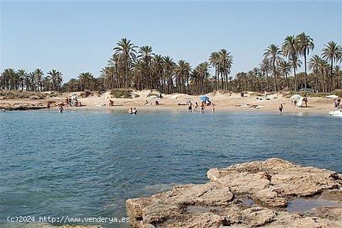 PARCELA EN BENIJOFAR - ALICANTE